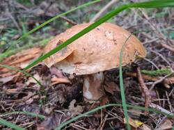 IMG-20250823-WA0007.jpg