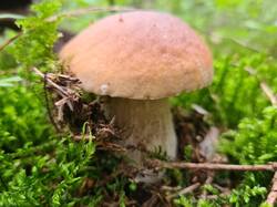 IMG-20250823-WA0013.jpg