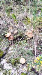 IMG-20250824-WA0003.jpg