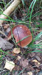 IMG-20250824-WA0011.jpeg