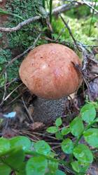 IMG-20250824-WA0025.jpeg