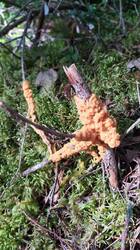 IMG-20250824-WA0031.jpeg