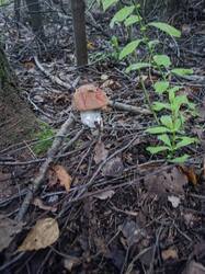 IMG-20250826-WA0005.jpg