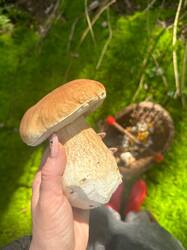 IMG-20250826-WA0014.jpg