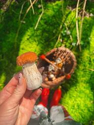 IMG-20250826-WA0036.jpg