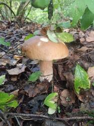 IMG-20250828-WA0007.jpg