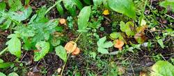 IMG-20250828-WA0008.jpg