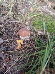 IMG-20250828-WA0010.jpg