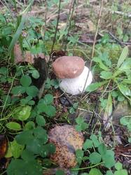 IMG-20250828-WA0011.jpg