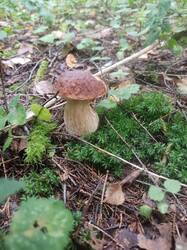 IMG-20250828-WA0013.jpg
