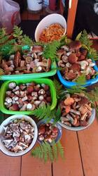 IMG-20250828-WA0018.jpg
