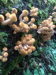 IMG-20250830-WA0006.jpg