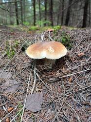 IMG20250801101938.jpg