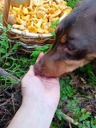 IMG20250809135002.thumb.jpg.4abc944c2b6739023b4479ece0d9c5d9.jpg