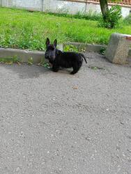 IMG20250813080856.thumb.jpg.5e600c2a9bea671db14aec16af69ee54.jpg