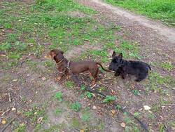 IMG20250813081806.thumb.jpg.ec60d1e7cd3c34eecbdf6b34987c220a.jpg