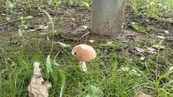 IMG20250814080317.jpg