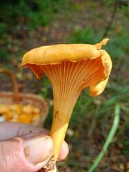IMG20250815114730.jpg