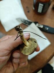 IMG20250819175555.jpg