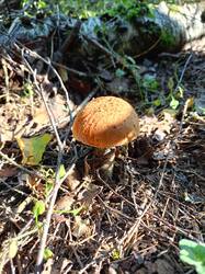 IMG20250820090444.jpg