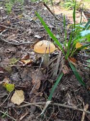 IMG20250820101115.jpg