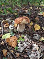 IMG20250820105316.jpg