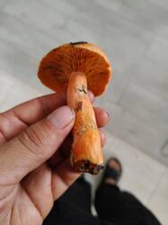 IMG20250820111800.jpg