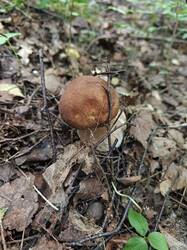 IMG20250820133754.jpg