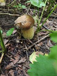 IMG20250820134116.jpg