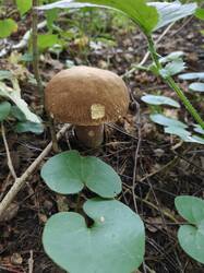 IMG20250820135132.jpg