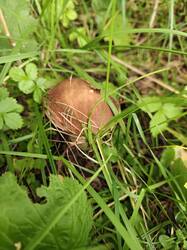 IMG20250820140504.jpg