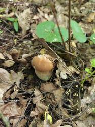 IMG20250820140656.jpg