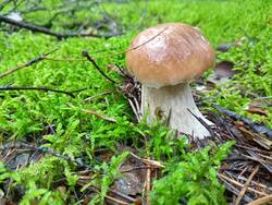 IMG20250823163855.thumb.jpg.6c3dbead58ccb583d41d40f96ef2fce7.jpg