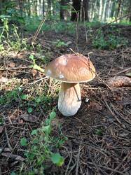 IMG20250827091340.jpg