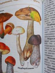 IMG20250827152106.jpg