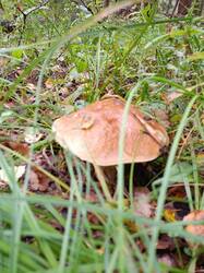 IMG20250830110813.jpg