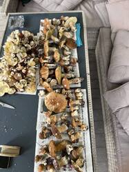 IMG_0356.jpeg