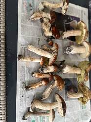 IMG_0373.jpeg