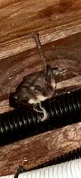 IMG_0394.jpeg