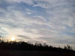 IMG_20241120_154324_800.thumb.jpg.6a539c3bb2ec7d964aa260b30893d78b.jpg