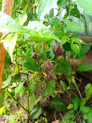 IMG_20250802_183620.jpg