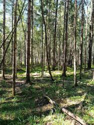 IMG_20250803_151101.jpg