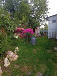 IMG_20250803_190907.jpg