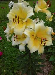 IMG_20250804_114213.jpg