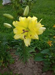 IMG_20250804_114303.jpg