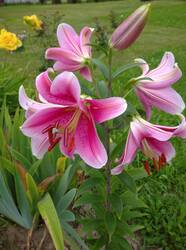 IMG_20250804_114326.jpg
