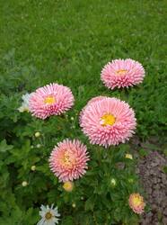 IMG_20250804_114415.jpg