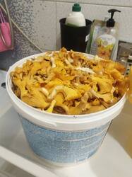 IMG_20250804_175135.jpg
