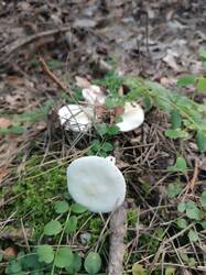 IMG_20250806_154701.jpg