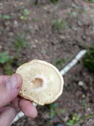 IMG_20250807_114644_059.jpg